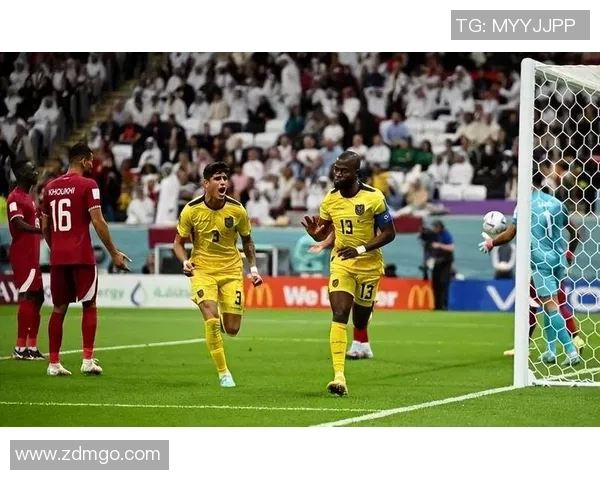 法国队与澳大利亚体育局对决前瞻分析及胜负预测